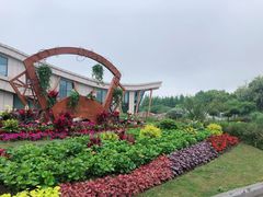 -同里国家湿地公园
