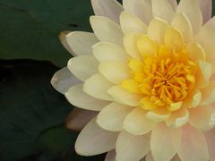 -华南国家植物园-售票处