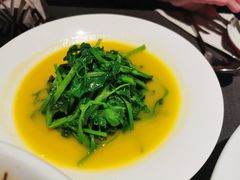 -许家菜(DT51店)