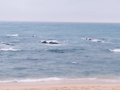 -日月湾海门游览区