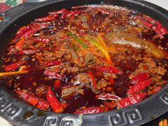 -卤校长老火锅(杨家坪直营店)