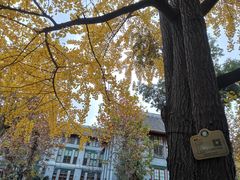 -四川大学(华西校区)