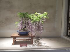 -扬州大运河文化旅游度假区·盆景园