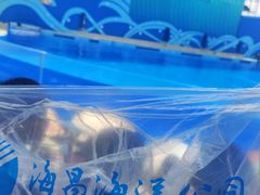 -上海海昌海洋公园