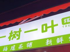 -一树一叶·福建茶档(石鼓路店)