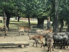 -西安秦岭野生动物园