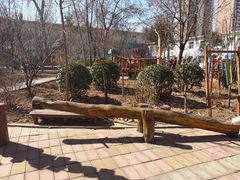 -花婆婆华德福幼儿园