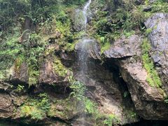-龙苍沟森林公园