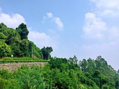 -火炉山森林公园