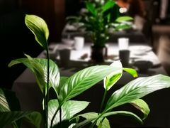 -大鸭梨烤鸭(枣园店)