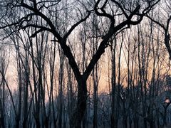 -长春市南湖公园