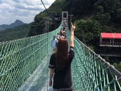 -梦幻奥陶纪景区