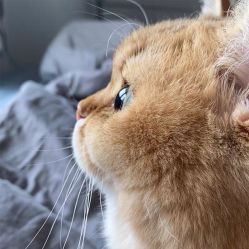 -海豚湾美甲美睫店