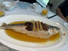 -张生记(丁香国际店)