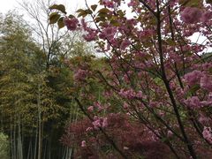 -宁波余姚老柿林山居度假村