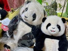 -轩客会(熊猫书店)