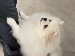 -瑞虹新天地月亮湾