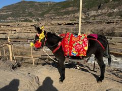 -陕西黄河壶口瀑布旅游区