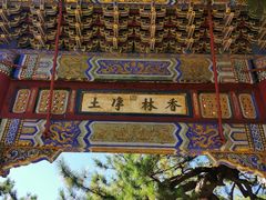 -潭柘寺景区