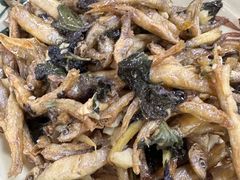 -幽优农庄·森波拉特色本地农家菜
