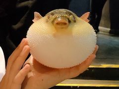 -永安鱼庄·镇江菜(东吴路店)