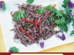 凉拌海参筋-华兴大酒楼(亿宝大厦店)