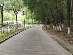 -成都南湖公园