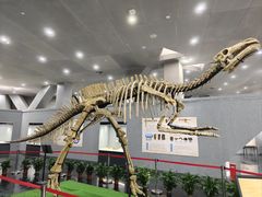 -柳州白莲洞洞穴科学博物馆
