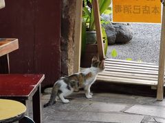 -老宅原住民沙茶面精品小吃(龙头路店)