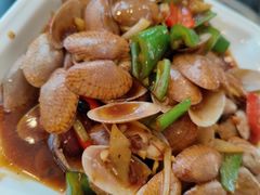 -冯姐生蚝(长隆横琴店)
