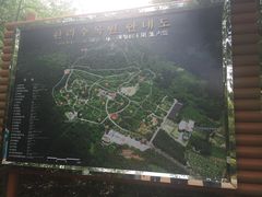 -汉拿树木园