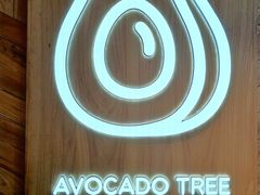 -油梨树AVOCADO TREE(嘉里中心店)