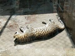 -西安秦岭野生动物园