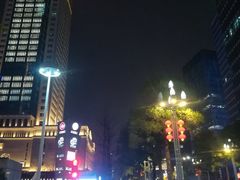 -重庆市江北嘴中央商务区中央公园