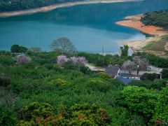 -广州市流溪河国家森林公园