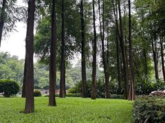 -晓港公园