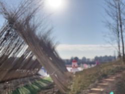 -268童话露营农场·烧烤·团建