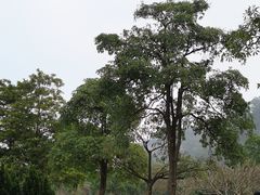 -南沙蒲洲花园