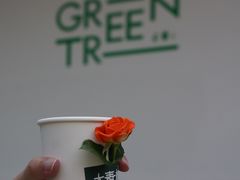 -大青树咖啡(大理古城店)