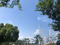-映月湖中央公园