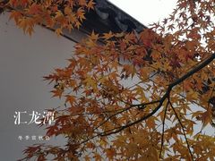 -汇龙潭