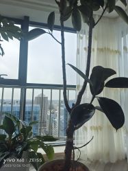 -HEYAN荷妍专业脱毛连锁机构