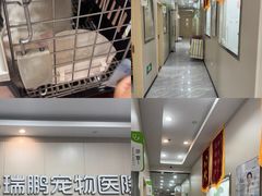 -瑞鹏宠物医院·普外科·影像科·皮肤科(城市山谷分院)