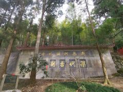 -东天目山风景区