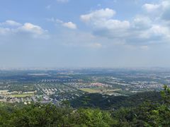 -绿茶餐厅(华联万柳店)