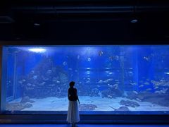 -顺德南宏海立方海洋公园
