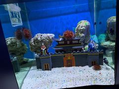 -上海海昌海洋公园