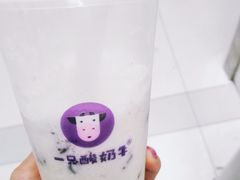 -一只酸奶牛(八一路店)