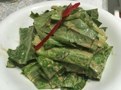 麻酱油麦菜-京味民福烤鸭店(建设四马路店)
