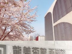 -龙美术馆(西岸馆)
